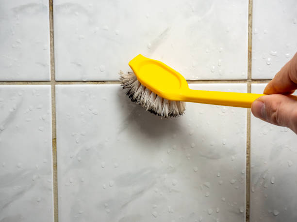 Best Toxic Mold Removal  in Springdale, NC