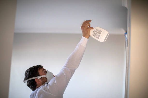 Best Mold Damage Repair  in Springdale, NC