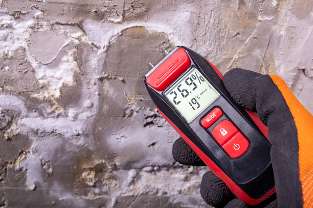 Best Mold Cleaning Services  in Springdale, NC