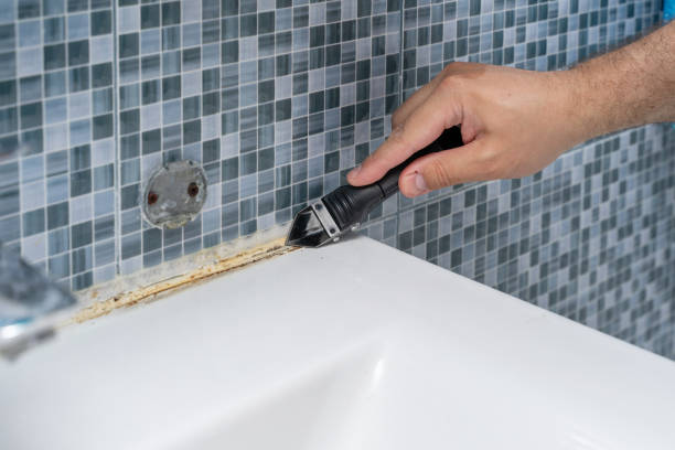 Best Same-Day Mold Removal  in Springdale, NC